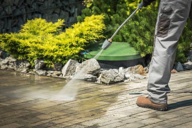 Best Pre-Holiday Cleaning  in Williamsburg, FL