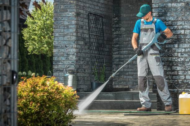Best Dumpster Area Cleaning  in Williamsburg, FL