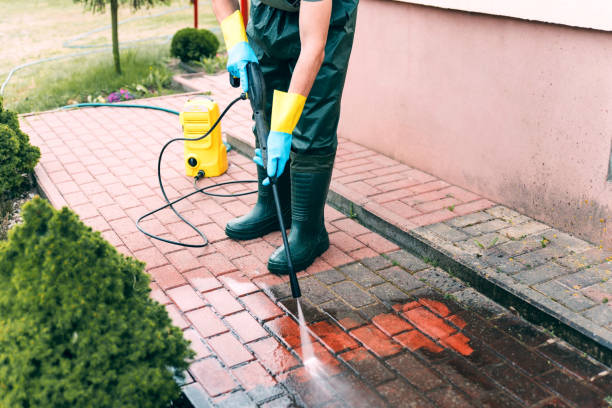 Best House Exterior Washing  in Williamsburg, FL