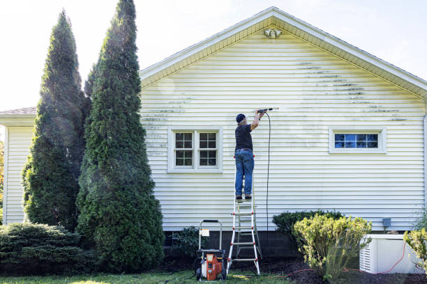 Professional Pressure Washing Services in Williamsburg, FL