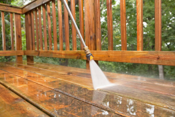 Best Gutter Cleaning  in Williamsburg, FL